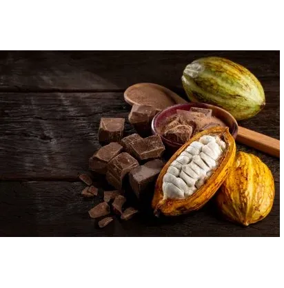 cacao family limited 