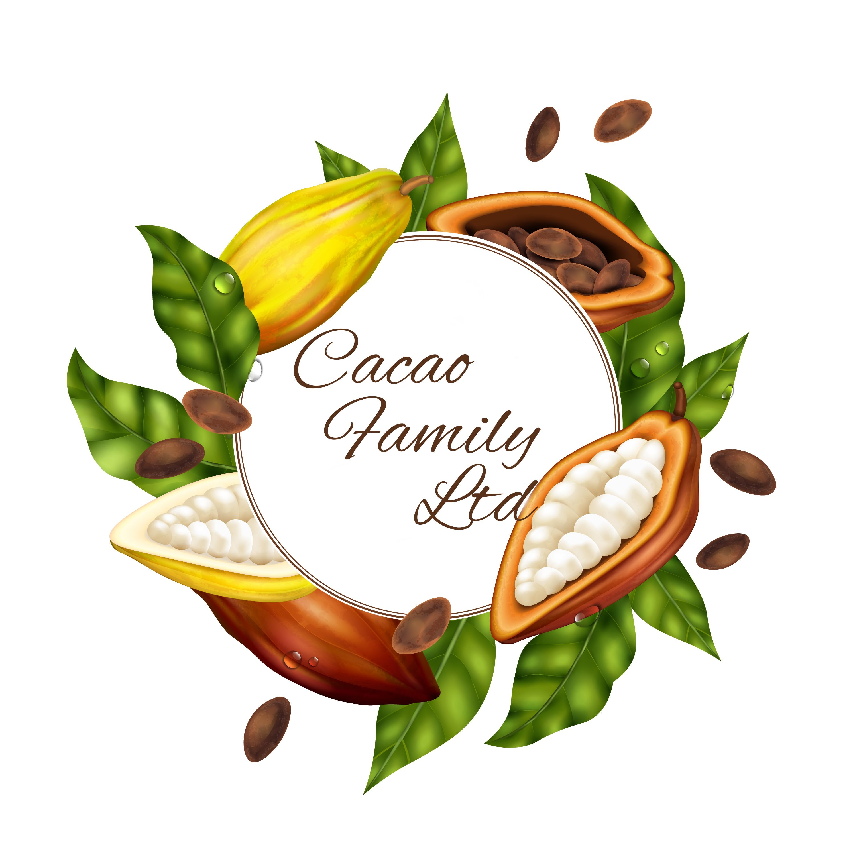 cacao family limited 