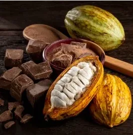 cacao family limited 